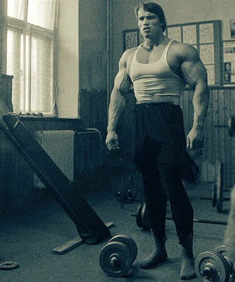 biggest biceps in the world|arnold's bicep size.